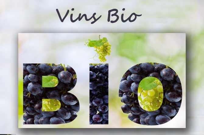 Vins Bio en Provence