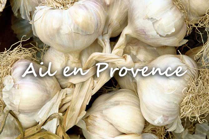 Ail en Provence