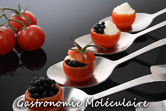 Gastronomie Moléculaire en Provence