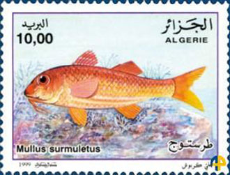 Timbre-Rouget-Algérie