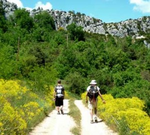 Chemins de Randonnée en Provence | Provence 7