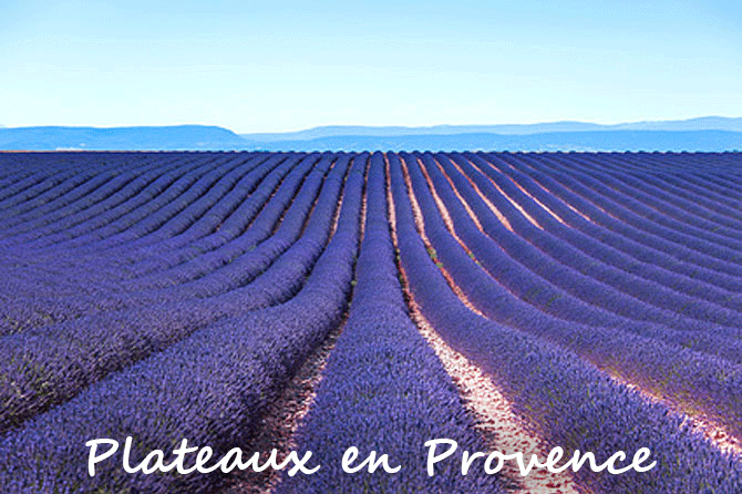 Plateaux de Provence