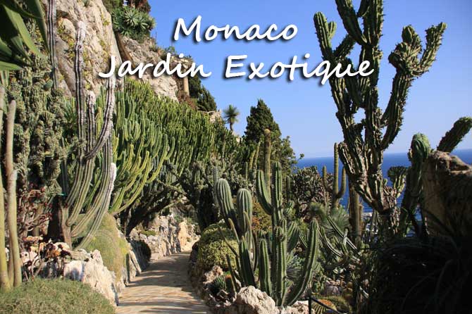 Jardin Exotique de Monaco | Provence 7