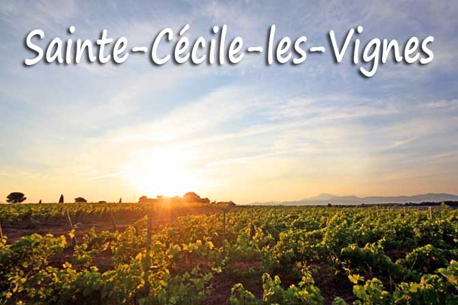 Sainte-Cécile-les-Vignes à visiter (84)