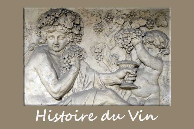 Histoire du Vin en Provence
