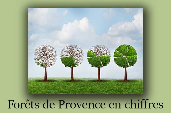 Forêts de Provence en Chiffres