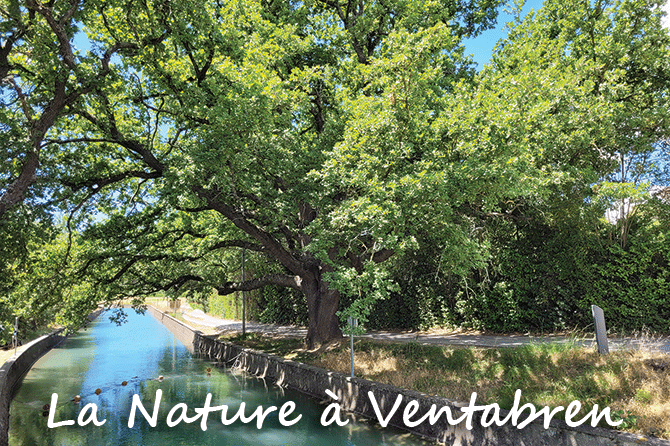 La Nature à Ventabren : Air – Eau – Végétation – Loisirs….