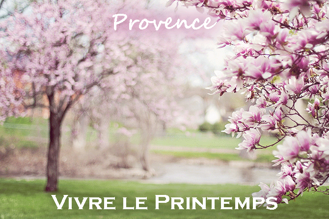 Vivre le Printemps en Provence