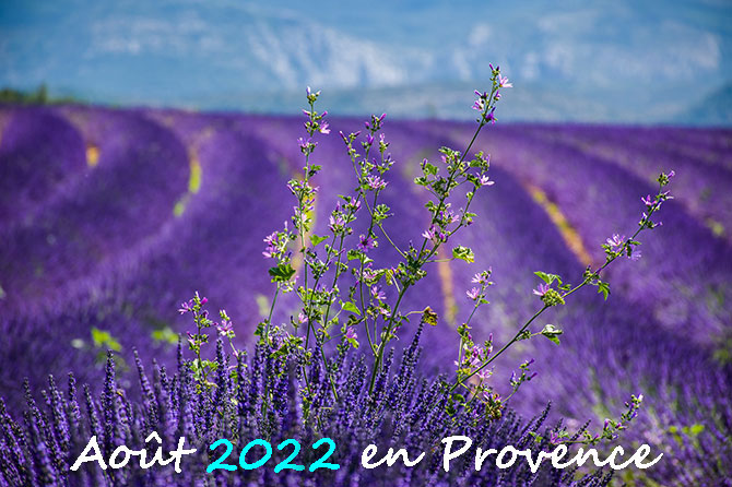 Agenda Août 2022 en Provence