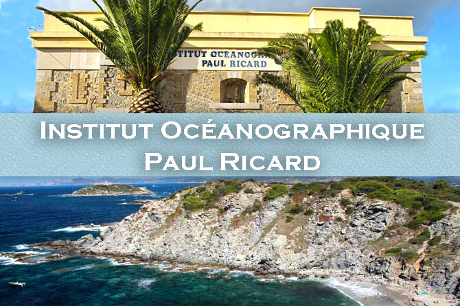 Institut Océanographique Paul Ricard : histoire et activités