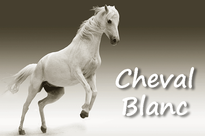 Chevaux Blancs Célèbres, Races et Symboles