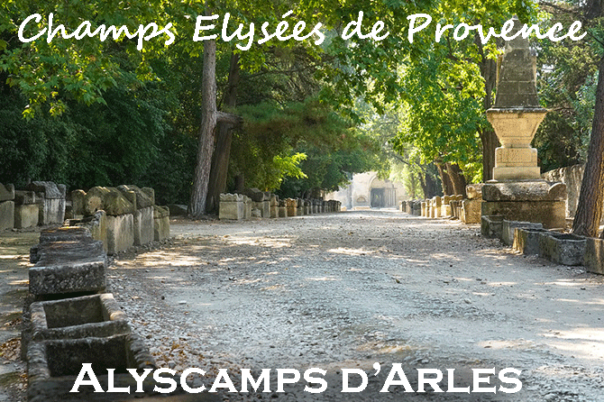 Alyscamps : visite et histoire d’un site d’exception d’Arles