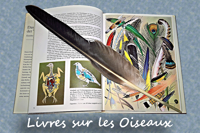 Livres sur les Oiseaux en France et en Provence