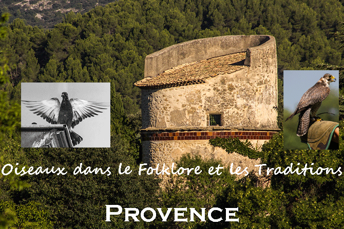 Oiseaux dans le Folklore et les Traditions en Provence
