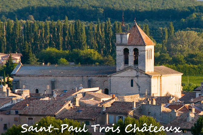 Saint-Paul-Trois-Châteaux à visiter (26)