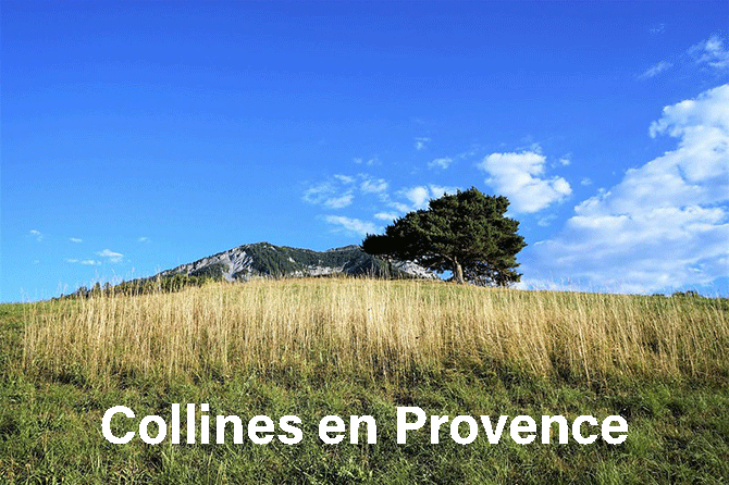 Collines en Provence : Paysages et Art de Vivre