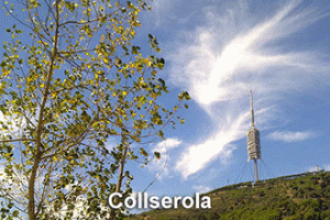 Collserola-1B | Provence 7